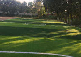 天津靜海王口第四小學(xué)足球場